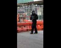 Black gorilla monkey costume guy crosses street 