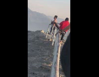 Man pink top carry pet dog pictorial railings