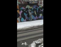 Grey mouse costume person dances by mural 