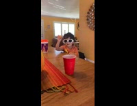 little kid in orange shirt white glasses cup