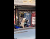 Dog sits at motorcycle waits for owner