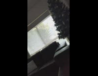 Collab DailyDoseOfInternet - Guy looks out window at black birds 