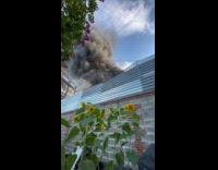 Collab WINY - Filmer waters daisies while fire behind wall