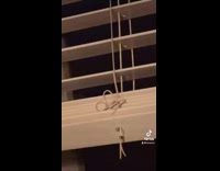 Womans curtain coil spells sex