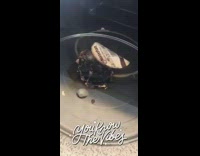 Collab FunBestVids - Girl burns instant ramen noodles microwave sister 