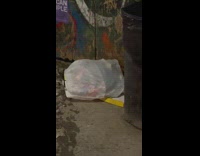 Rats move inside the trash bag at night along street in new york 