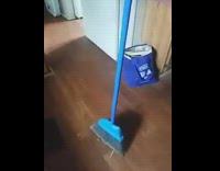 Blue broom stands upright