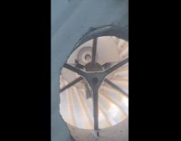 Bird loves spinning around duct for fun