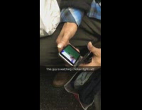 this guy is watching chicken fights