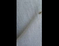 Small black gold spider crawl on pants