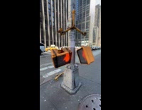 Broken pedestrian signal light hanging on pole