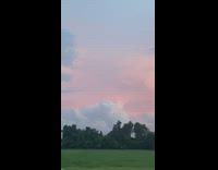 Collab DailyDoseOfInternet - Low clouds near trees sunset grass horse
