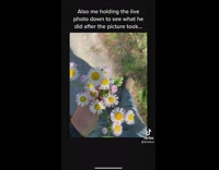 Girlfriend gets photo of flowers from boyfriend 