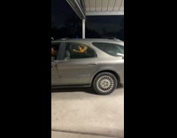 Guy makes grey hatchback car bounce