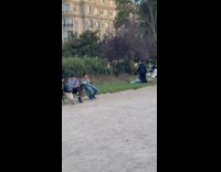 Collab IITW - Woman crop top dances by the bush