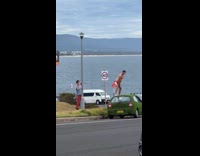Man in briefs plays golf on top of the car covered in grass