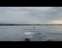 Boat pulls guy on waterski fail 