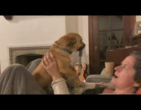 Woman hold brown dog mimic funny noise