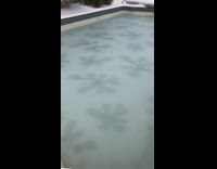 Frozen pool water has flower pattern backyard 