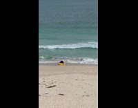 Collab Kook Of The Day - Guy in kayak scoots himself closer to ocean 