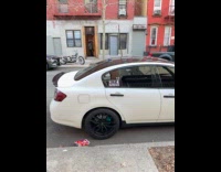 Gas Grass or Ass sticker on car window