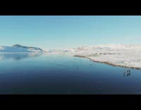 Three guys ice skate on frozen lake