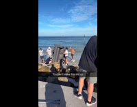 Collab IITW - Woman bikini poses near beach hurricane cleanup