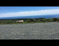 Dog runs across video camera frame