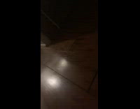 Cat crashes into phone and girl fail