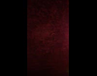 Bar filled around with one dollar bills