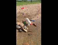 Collab Clips MPUGC - Puppy gets jumped on the beach 