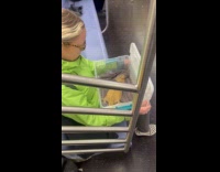 Woman holds bearded dragon inside container box