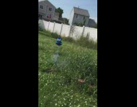 Teddy bear flies attached to firework 