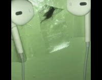 Guy captured and tortures fly taped to wall music