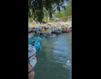 Collab BitchMP - Snake falls off tree into lazy river 