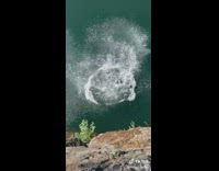 Collab Clips mpugc - Woman blue shirt water dive flip