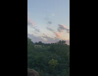 Flock of birds fly different formation over trees
