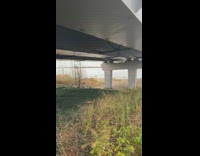Red shopping cart in shallow end of water under bridge 
