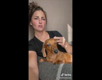 Lady Plays with her Pet Dogs Ear