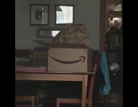 White cat inside amazon box peeks out 