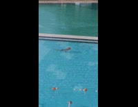 Bald man stationary swim exercise in pool