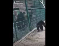 (DUPLICATE BAD LINK, USE A883576582277828) Collab BitchIG2 - Guy making fun of girls runs through his kitchen bye