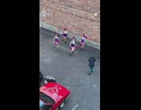 Four cheerleaders purple pom poms dance parking lot