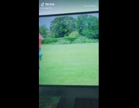 Guy summarizes recaps great British bake off 