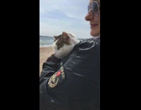 Black jacket girl carries cat beach windy 