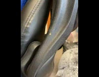 Little bug on the chair moved by the boy