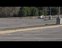 Pet dog on a leash with its owner inside the car