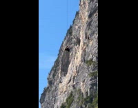 Cow transported by helicopter hang and spin in air
