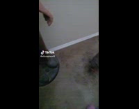 Dog barks at the Freddy Krueger statue