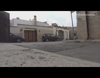 Grey cat approaches guy while meowing loudly 